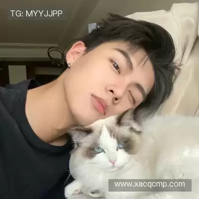 怀献义